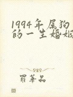 1994年属狗的一生婚姻状况封面