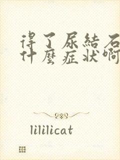 得了尿结石会有什么症状啊