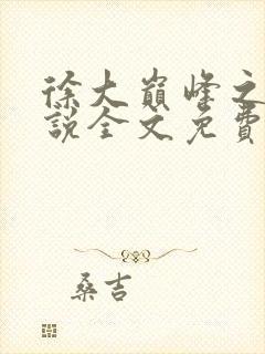 徐大巅峰之路小说全文免费阅读