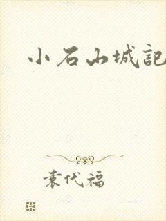 小石山城记封面