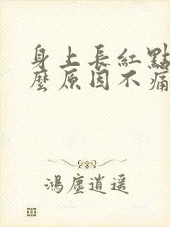 身上长红点是什么原因不痛不痒封面