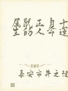 属鼠正月十一出生的人命运