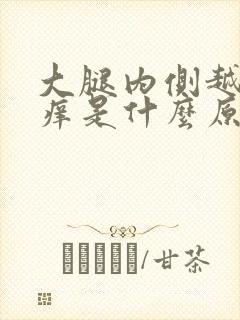 大腿内侧越抓越痒是什么原因