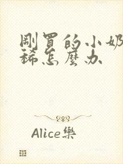 刚买的小奶狗拉稀怎么办