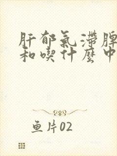 肝郁气滞脾胃不和吃什么中成药封面