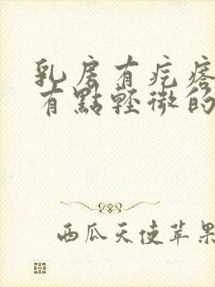 乳房有疙瘩一按有点轻微的疼