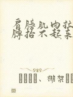 肩膀肌肉拉伤胳膊抬不起来封面