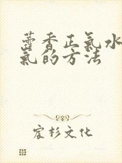 藿香正气水去湿气的方法