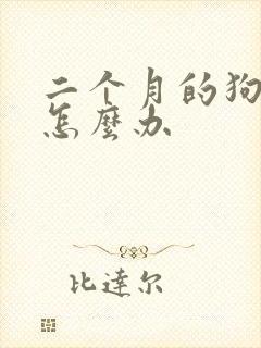 二个月的狗拉稀怎么办