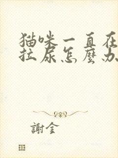 猫咪一直在床上拉尿怎么办