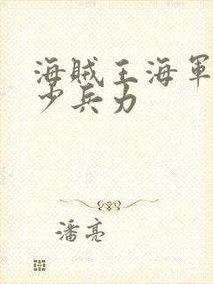 海贼王海军有多少兵力