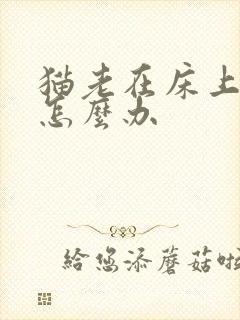 猫老在床上拉尿怎么办