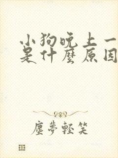 小狗晚上一直叫是什么原因封面