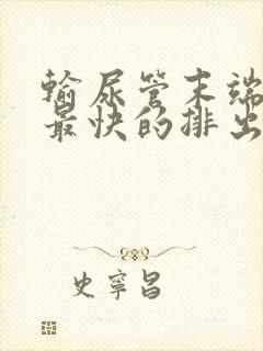 输尿管末端结石最快的排出方法