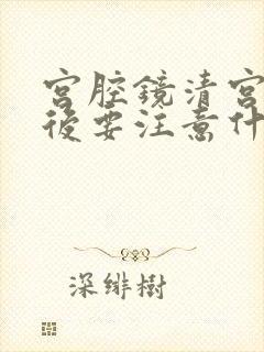 宫腔镜清宫手术后要注意什么