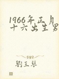 1966年正月十六出生男命运封面