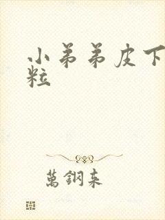 小弟弟皮下小肉粒封面