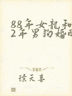 88年女龙和82年男狗婚配怎么样