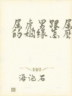 属虎男跟属鸡女的姻缘怎么样