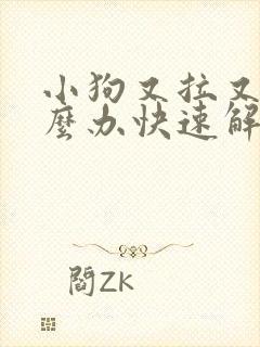 小狗又拉又吐怎么办快速解决方法