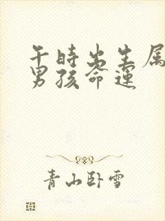 午时出生属龙的男孩命运