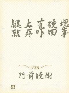 腿上有硬块一按就疼咋回事封面