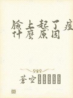 脸上起了痘痘是什么原因