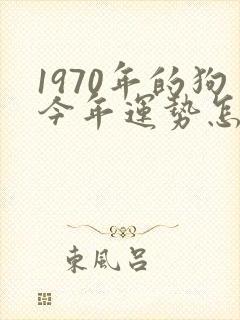 1970年的狗今年运势怎么样