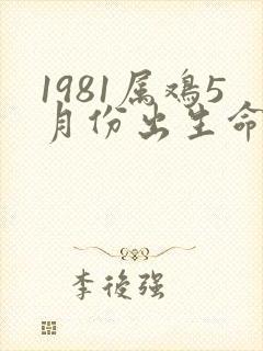 1981属鸡5月份出生命运如何