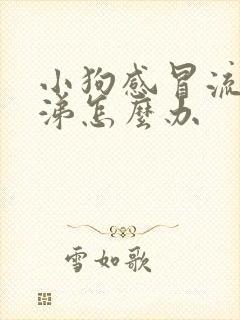 小狗感冒流黄鼻涕怎么办