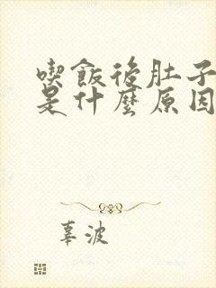 吃饭后肚子撑胀是什么原因