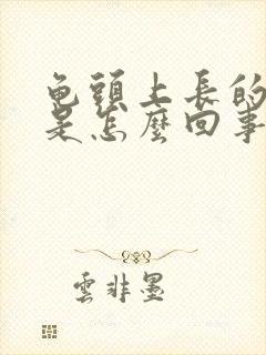 龟头上长的水泡是怎么回事封面