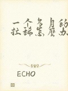 一个多月的小狗拉稀怎么办