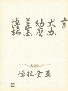 博美幼犬有点拉稀怎么办