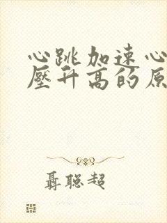 心跳加速心慌血压升高的原因封面