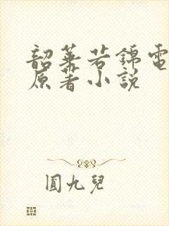 韶华若锦电视剧原著小说