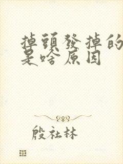 掉头发掉的厉害是啥原因