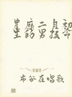 农历二月初二出生的男孩命运