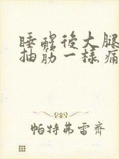 睡醒后大腿内侧抽筋一样痛封面