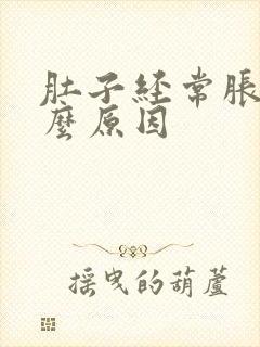 肚子经常胀气什么原因