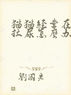 猫猫经常在床上拉尿怎么办封面