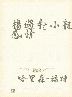 杨过对小龙女的感情封面