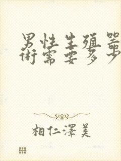 男性生殖器延长术需要多少费用