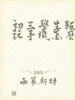 初三学生叛逆爱玩手机怎么办