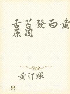 舌苔发白黄什么原因