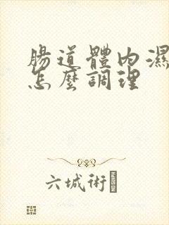 肠道体内湿气重怎么调理封面