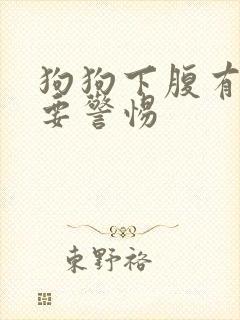 狗狗下腹有硬块要警惕