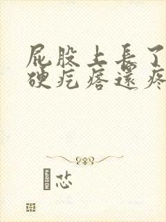 屁股上长了一个硬疙瘩还疼