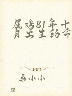 属鸡81年十一月出生的命运如何封面