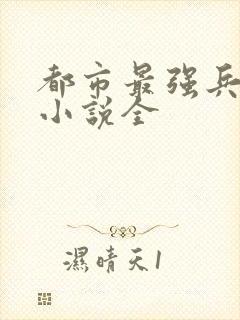 都市最强兵王 小说全